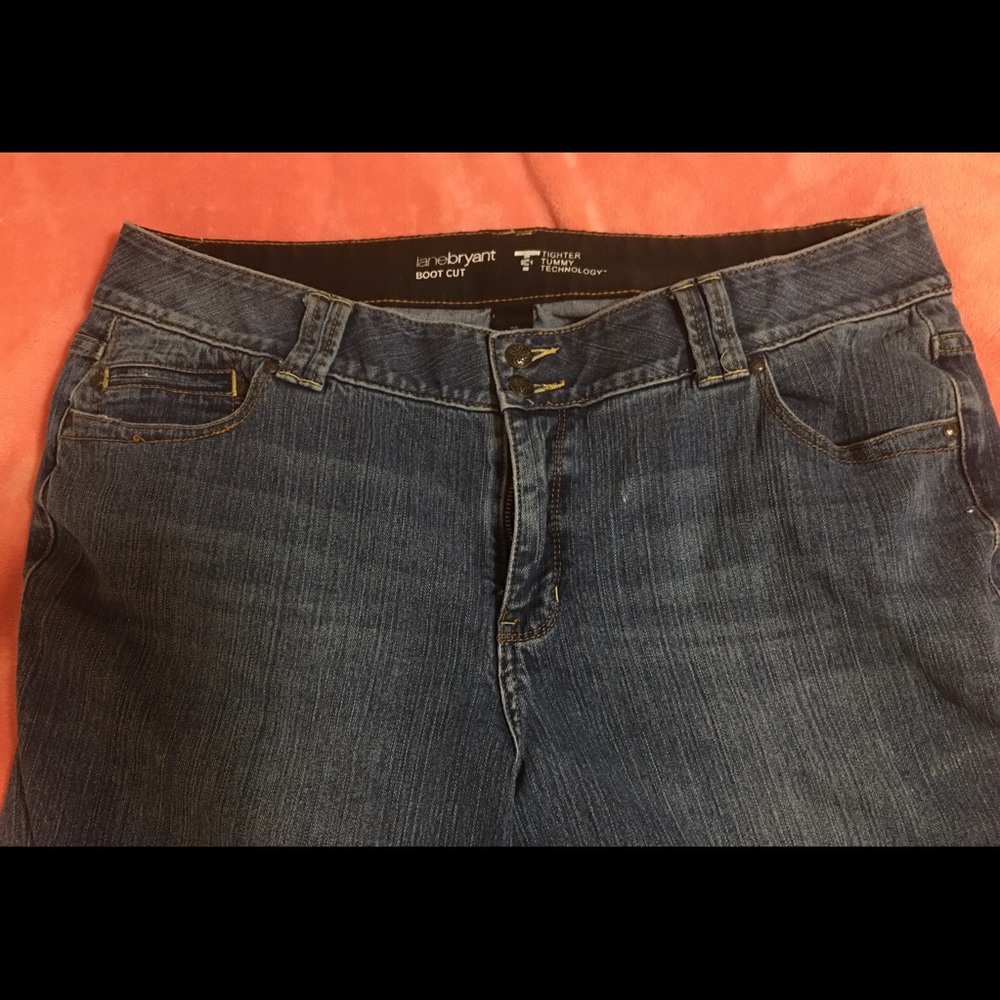 Lane Bryant jeans